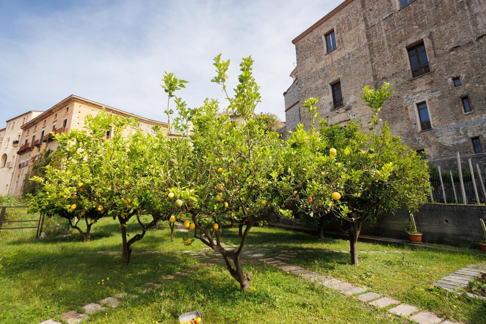 The Lemon Tree House Apartman Scalea Kültér fotó