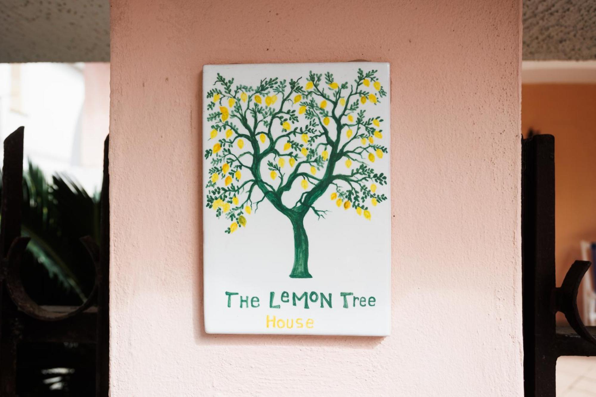 The Lemon Tree House Apartman Scalea Kültér fotó