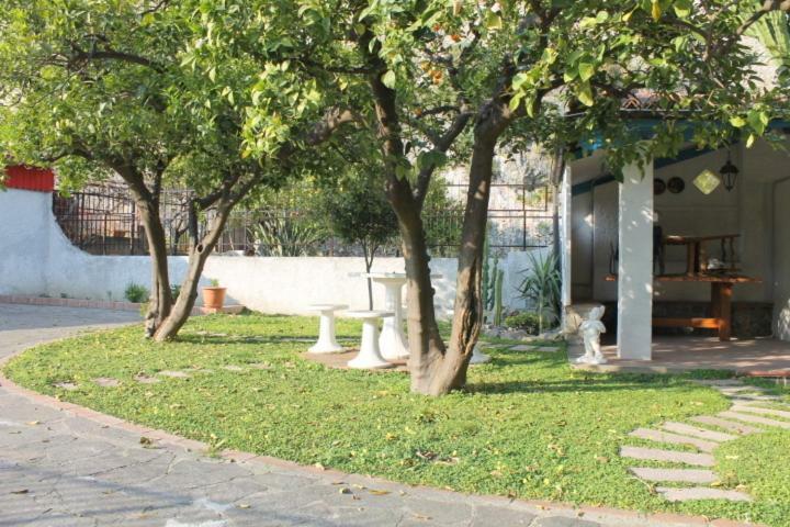 The Lemon Tree House Apartman Scalea Kültér fotó